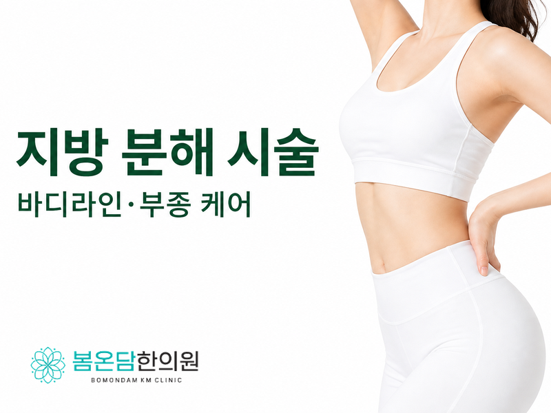 지방 분해 시술